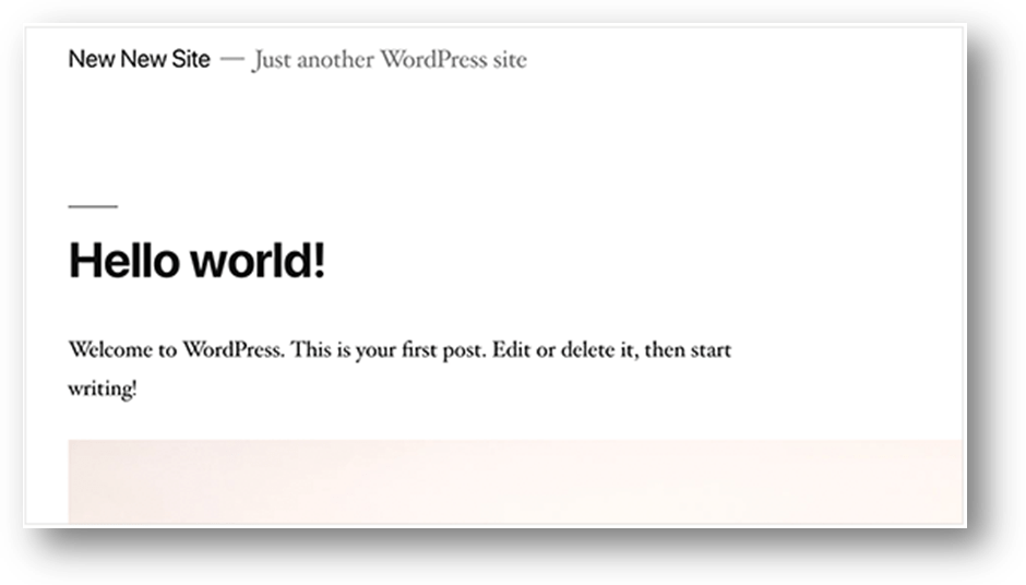 Not Removing WordPress Demo Content