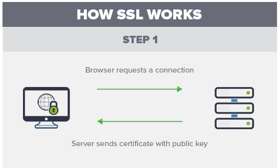 check wordpress security