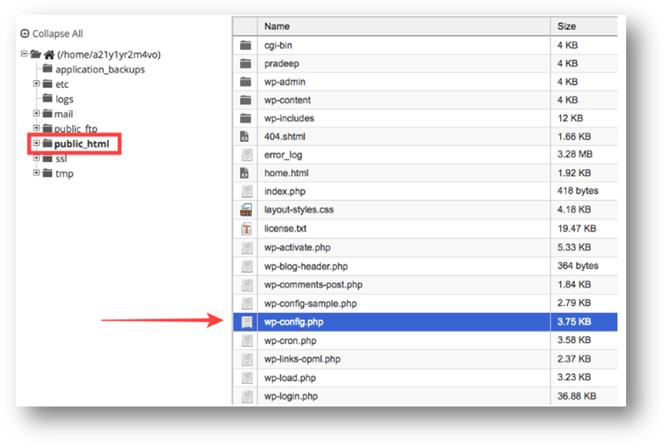 wordpress and security