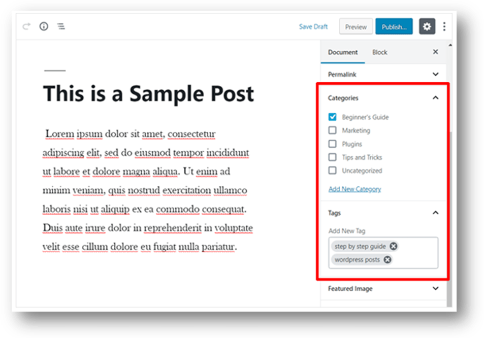wordpress posts vs pages