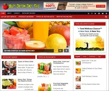 body detox niche website