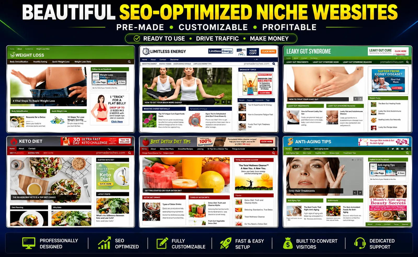 6 ready to use WordPress websites included with My Content Creator Pro Elite